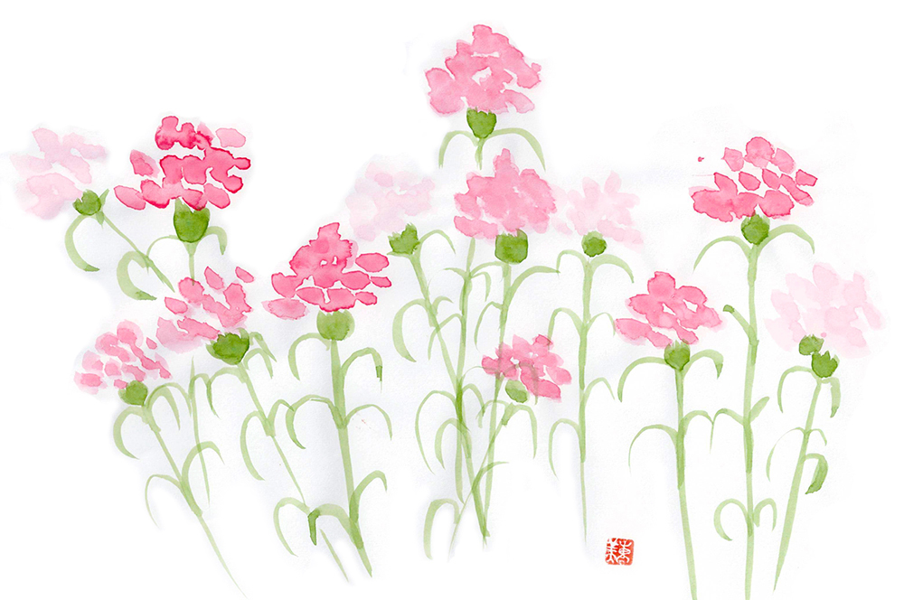 たいこう薬局5月のお便り